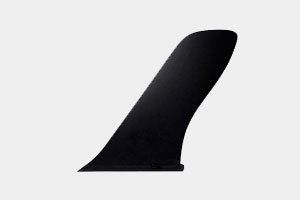 fin race sup nsp
