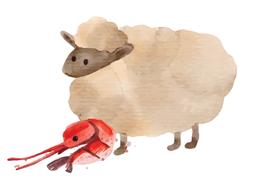 Obrazek owcy z krylem