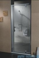 Omnires Drzwi prysznicowe 100 cm szkło przejrzyste S-100D TR 