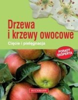 positivo.pl