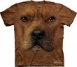 The Mountain - Koszulka Pittbull Face