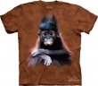 The Mountain - Koszulka Orangutan Baby