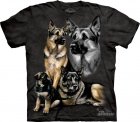 The Mountain - Koszulka German Shepherds 