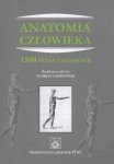 Księgarnia internetowa MADBOOKS.pl