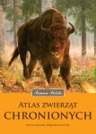 Księgarnia internetowa MADBOOKS.pl