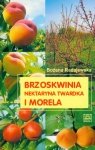 Księgarnia internetowa MADBOOKS.pl
