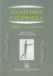 Księgarnia internetowa MADBOOKS.pl