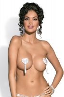 Obsessive Tassel nipple covers 