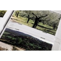 ALBUM DZIECIĘCY II 10X15/200
