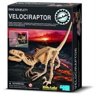 WYKOPALISKA - VELOCIRAPTOR - DINO SZKIELET