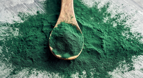 Spirulina w Leczeniu Koni - przewodnik dla właścicieli koni