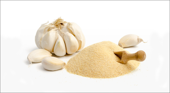 CZY CZOSNEK JEST SZKODLIWY DLA KONI?