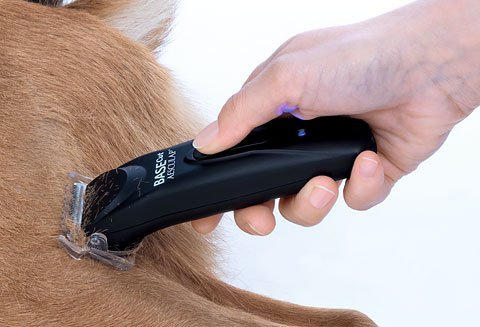 JAK PRAWIDŁOWO UŻYWAĆ MASZYNKI DO STRZYŻENIA KONI