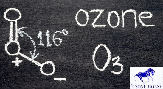 Terapia ozonem dla koni – naturalne wsparcie regeneracji, gojenia i zdrowia