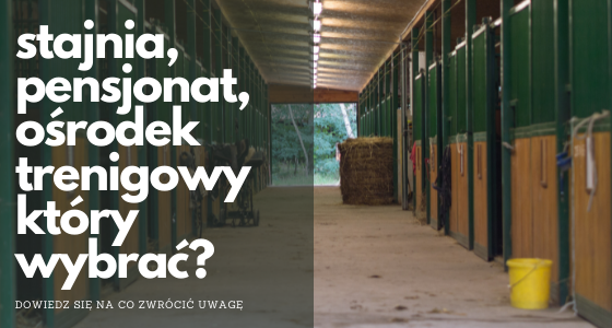 STAJNIE I OŚRODKI JEŹDZIECKIE - KTÓRY BĘDZIE NAJLEPSZY?