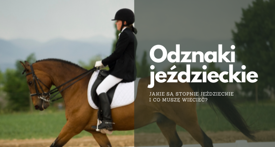 Odznaki jeździeckie - co muszę wiedzieć