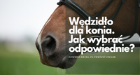 Wędzidła dla konia