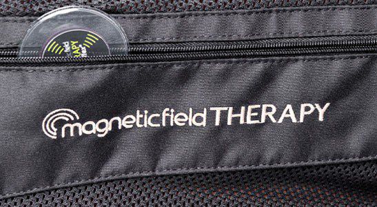 TERAPIA MAGNETYCZMA W PROFILAKTYCE I LECZENIU KONI