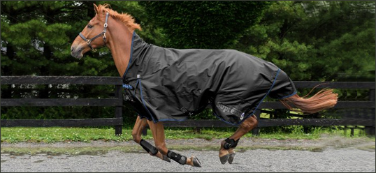 DERKA DLA KONIA - KTÓRĄ WYBRAĆ?