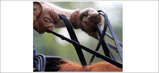 JAK PRAWIDŁOWO TRZYMAĆ WODZE?