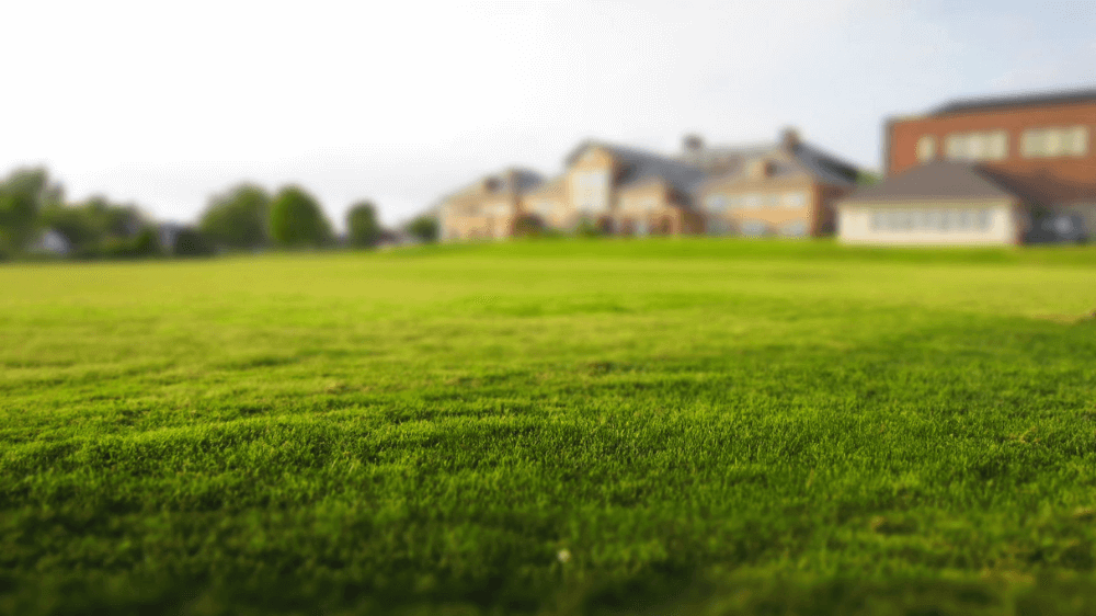  Aeracja trawnika - po co, kiedy i jak ją wykonać?