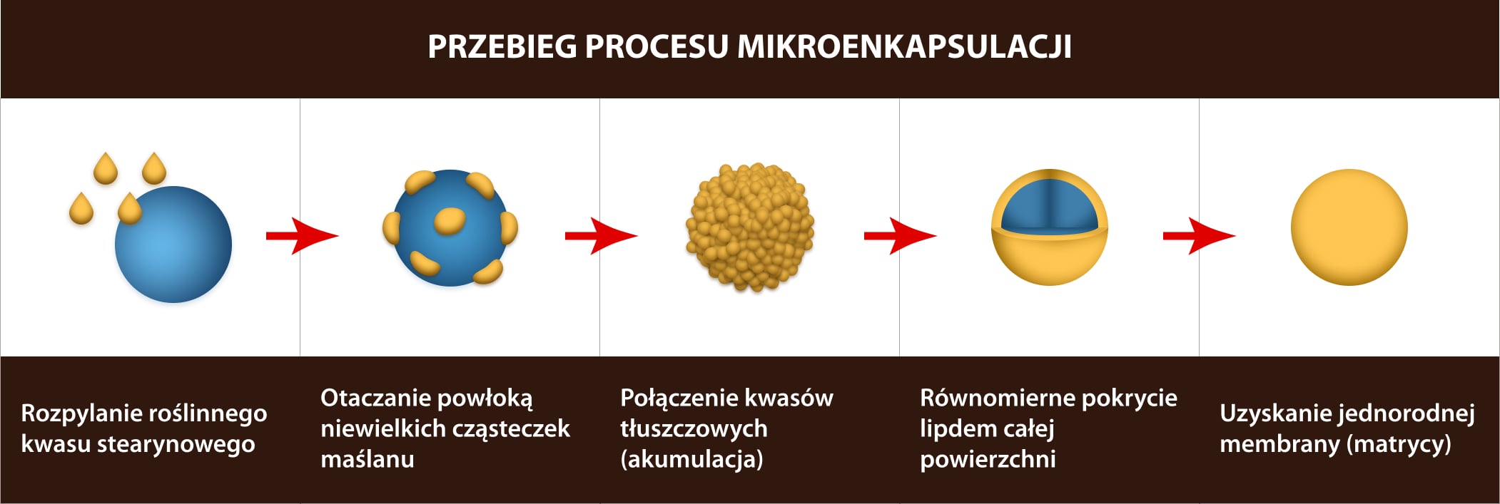 Proces mikroenkapsulacji