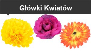 Główki Kwiatów