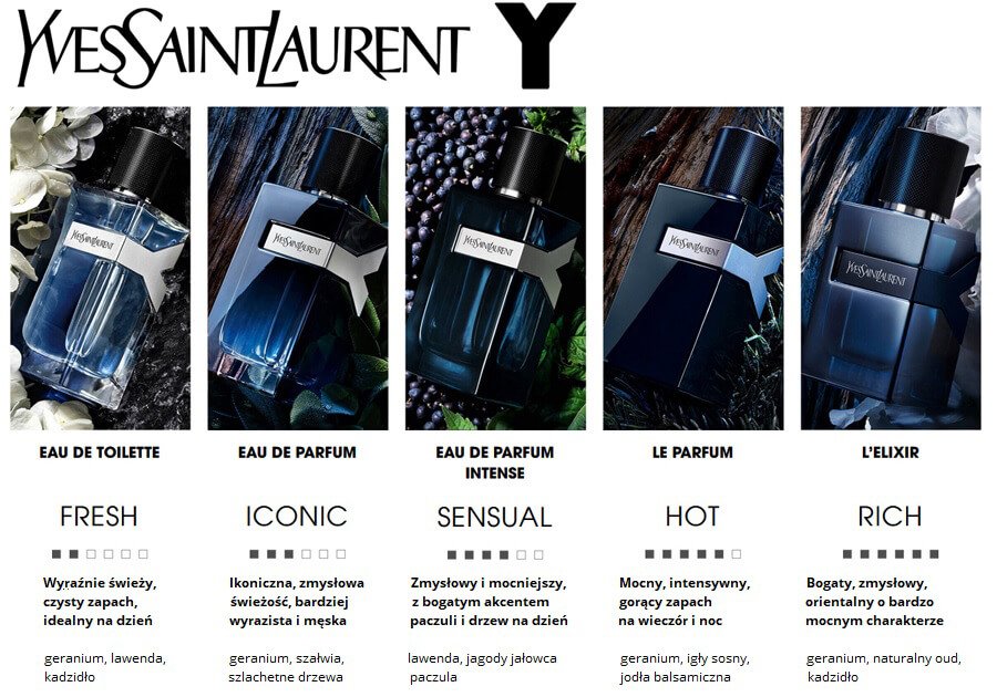 YSL_Collection_Comparision_Perfumes_Y