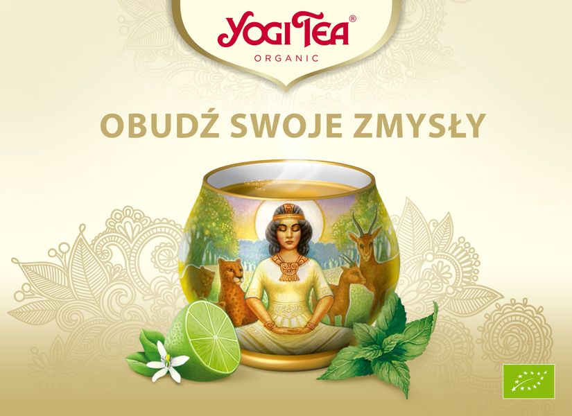 Broszura Yogi Tea 2017