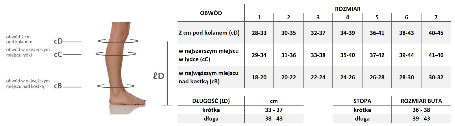 Tabela pomiarów Mediven Forte Podkolanówki uciskowe
