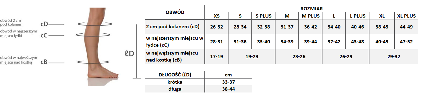 Tabela pomiarów Podkolanówki uciskowe Sigvaris Traditional CCL2