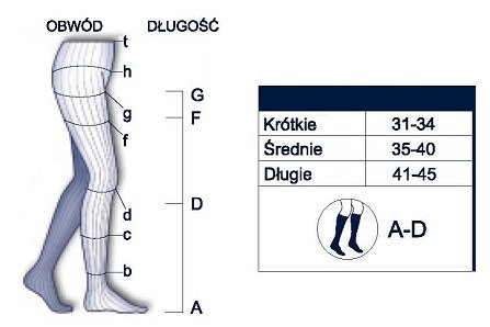 Jak dobrać długość podkolanówek III stopień ucisku Sigvaris Cotton Tabela obwodu i długość Sigvaris Cotton AD