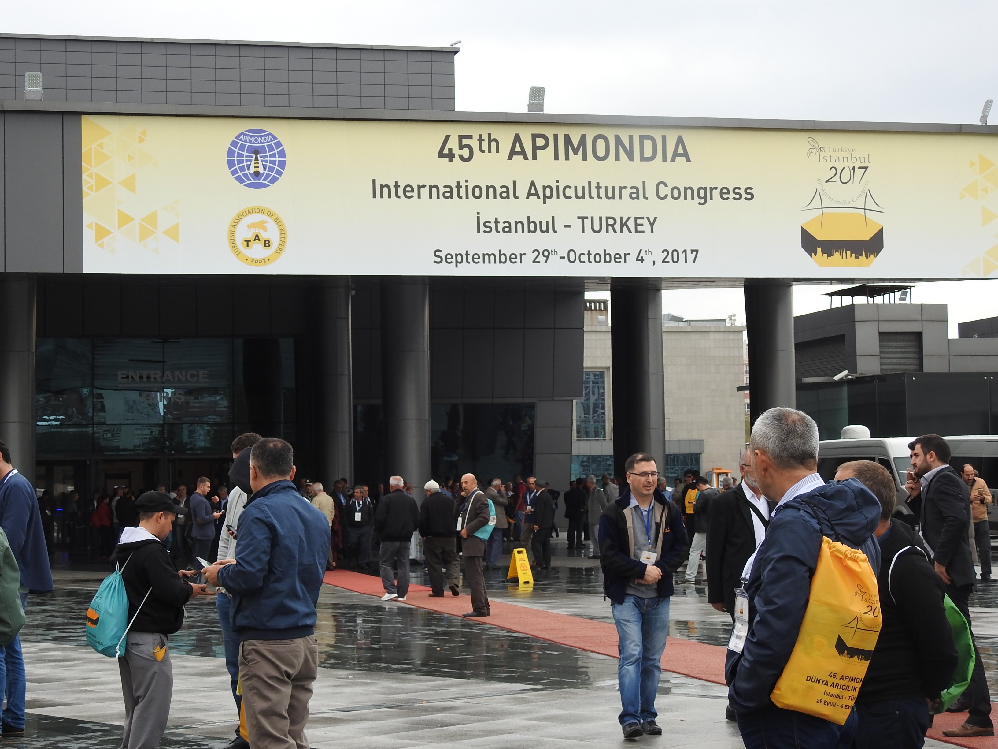 Apomondia_2017_1
