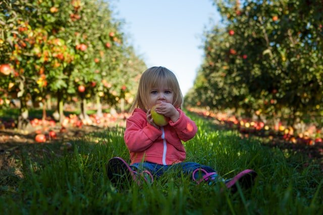 dziewczynka-w-kurtce-jedząca-jabłko