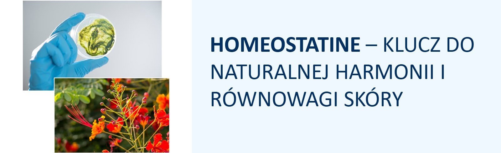 Homeostatine