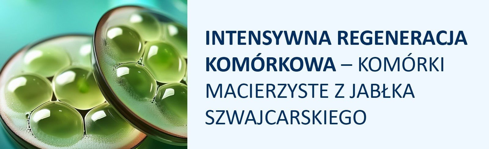 Komórki macierzyste z jabłka szwajcarskiego