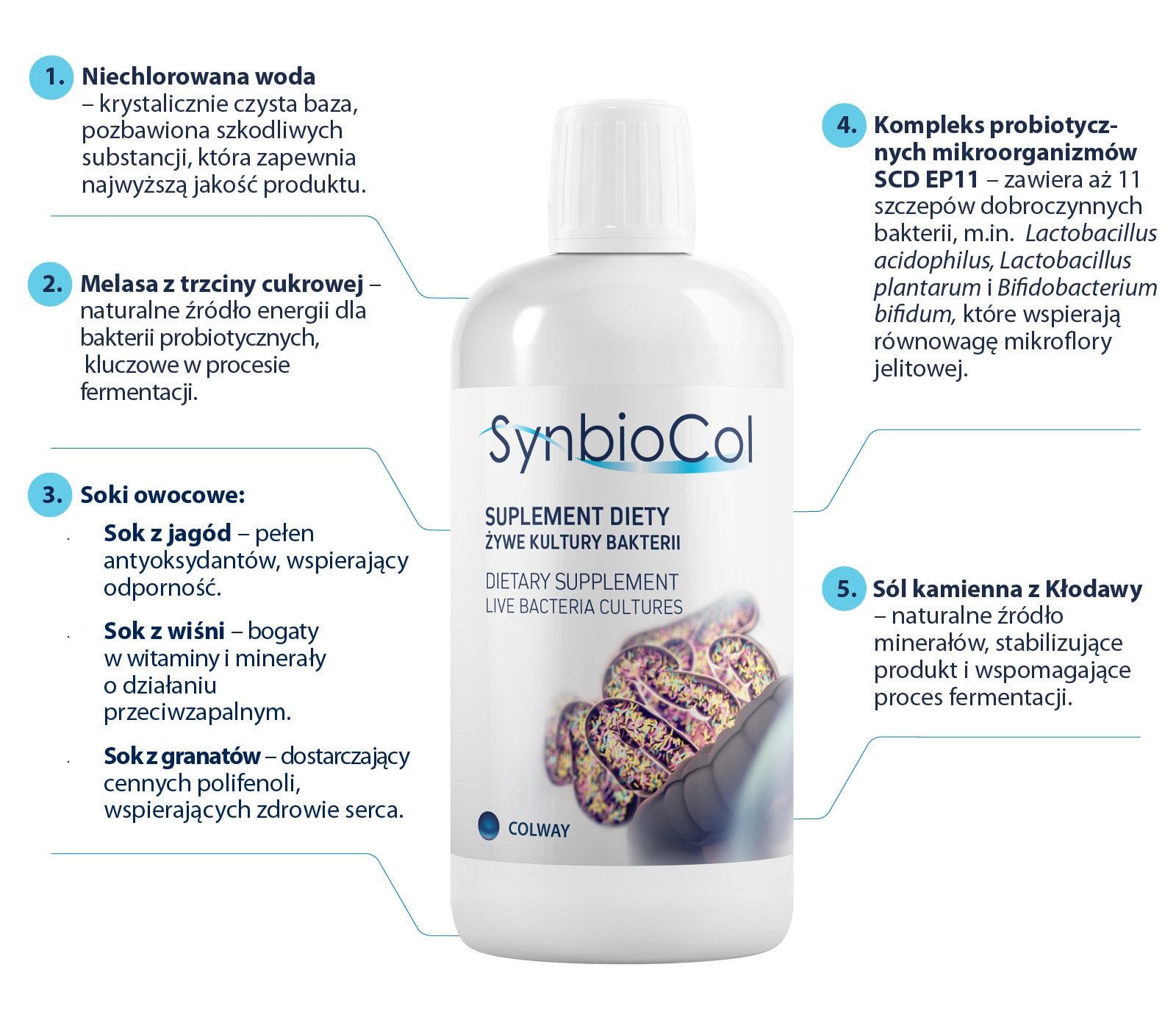 skuteczny naturalny probiotyk