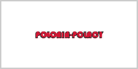 Polonia w Niemczech - serwis dla Polaków i Polonii w Niemczech