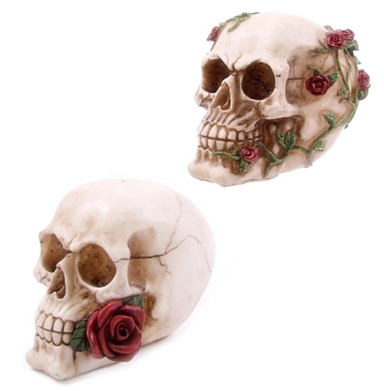 czaszka z różą gotycka czacha alchemy gothic