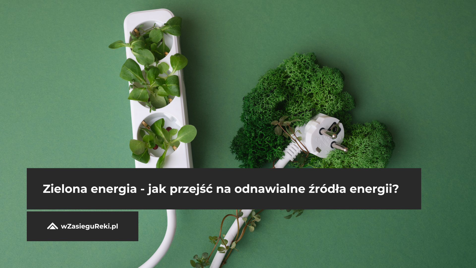Zielona energia - jak przejść na odnawialne źródła energii