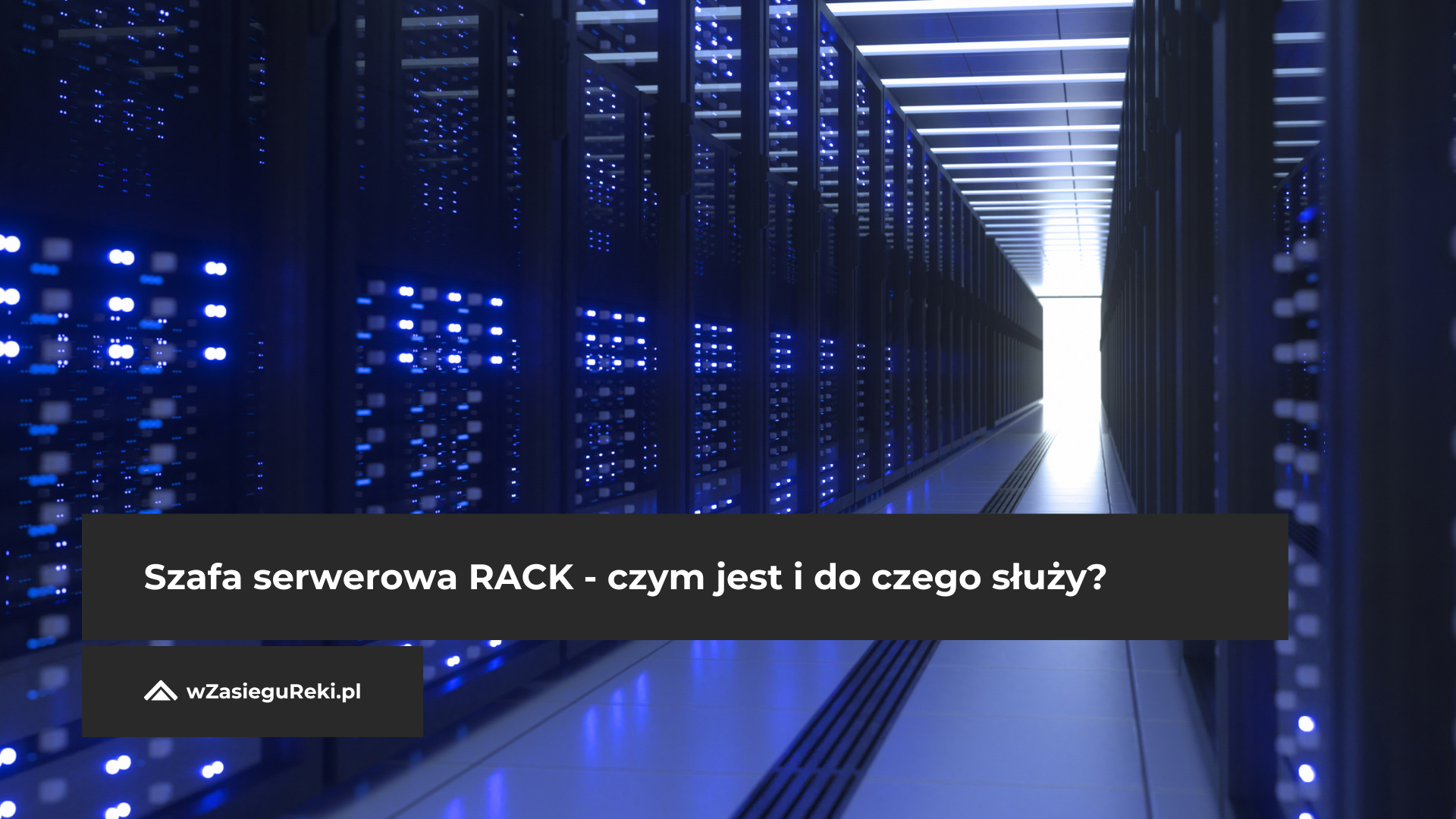 Szafa serwerowa RACK - czym jest i do czego służy?