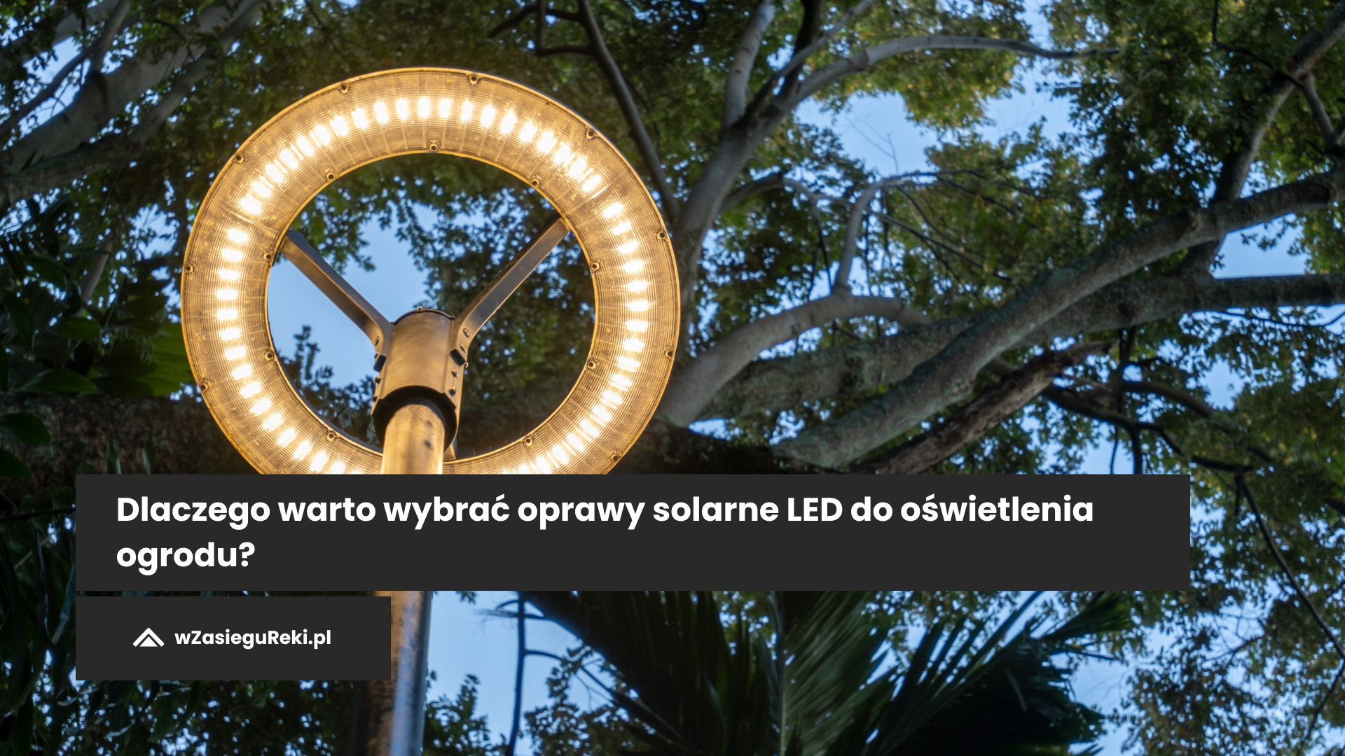 Dlaczego warto wybrać oprawy solarne LED do oświetlenia ogrodu?