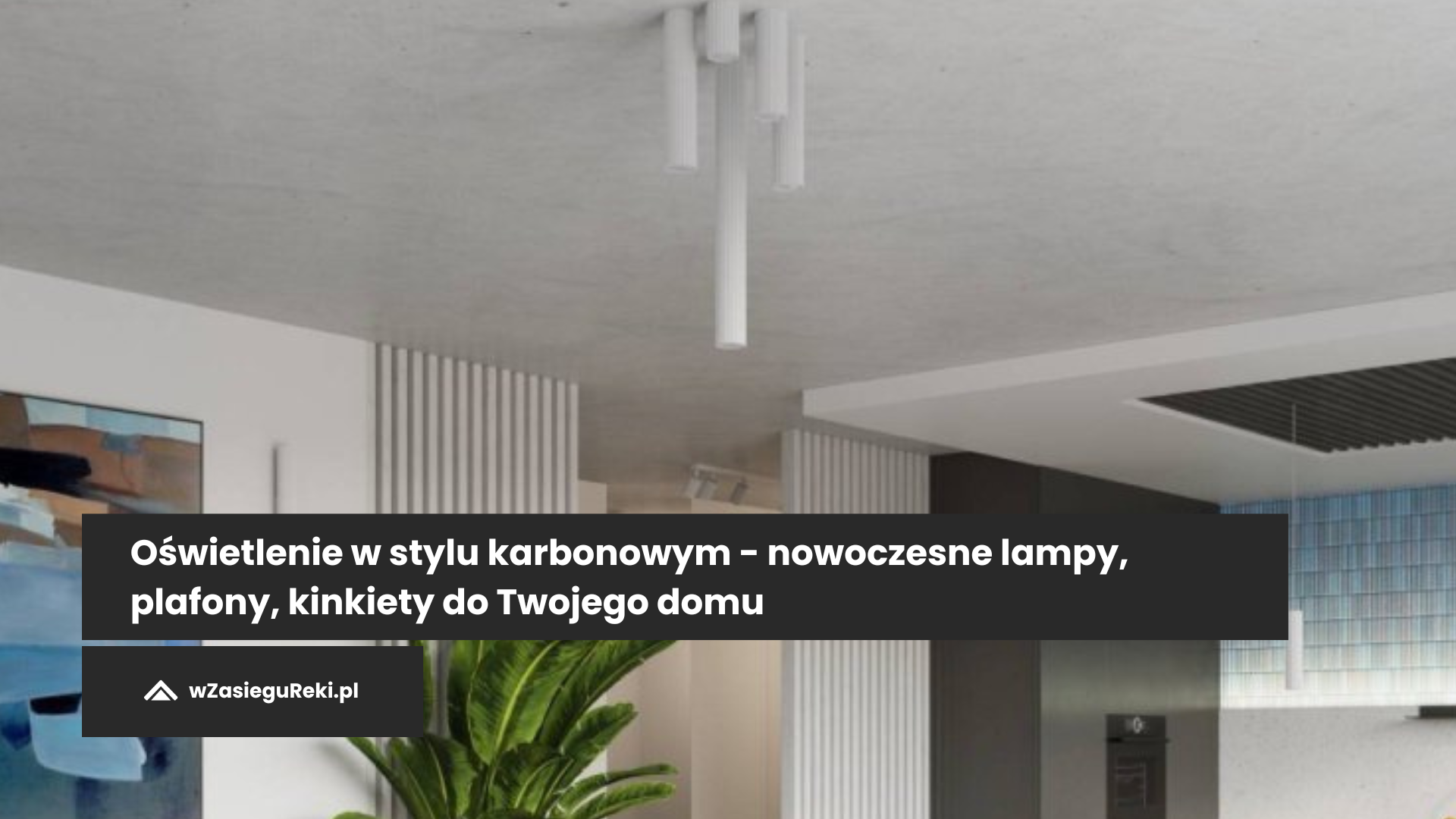 Oświetlenie w stylu karbonowym - nowoczesne lampy, plafony, kinkiety do Twojego domu