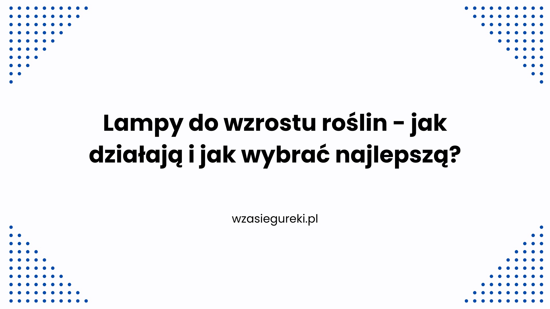 Lampy do wzrostu roślin – jak działają i jak wybrać najlepszą?