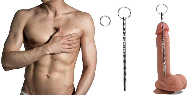 dilator męski do penisa