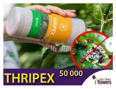 Oferta preparatu Thripex