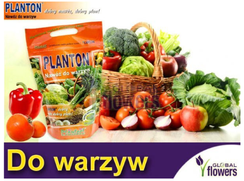 Planton do warzyw