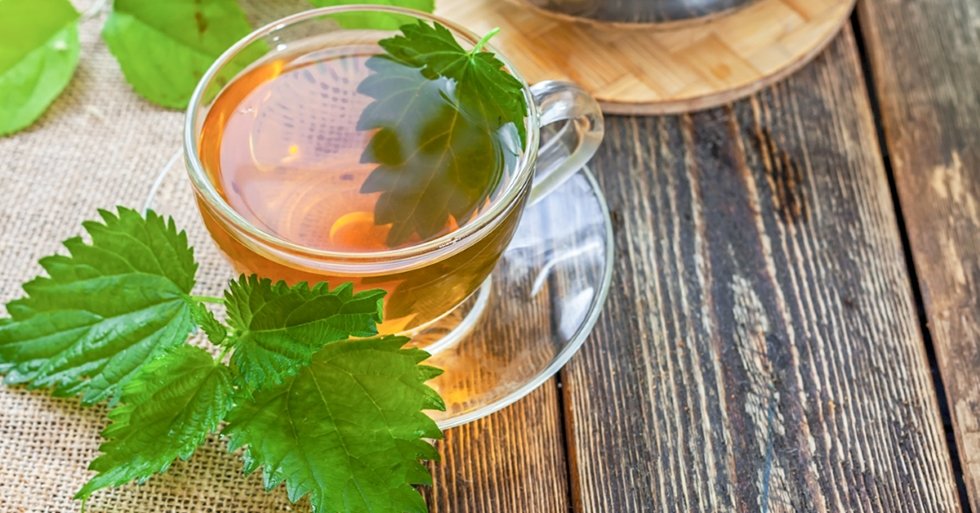 Herbatka z pokrzywy- smaczna i zdrowa