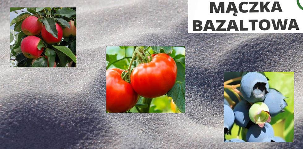 Mączka bazaltowa- najlepsza i naturalna w uprawach