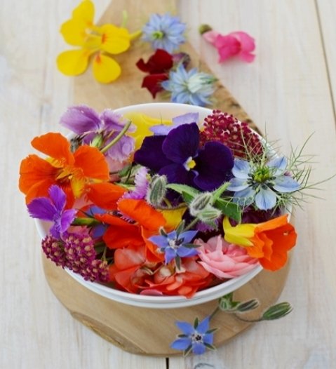Kolorowy talerz kwiatów